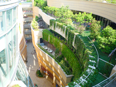 Namba Parks garden